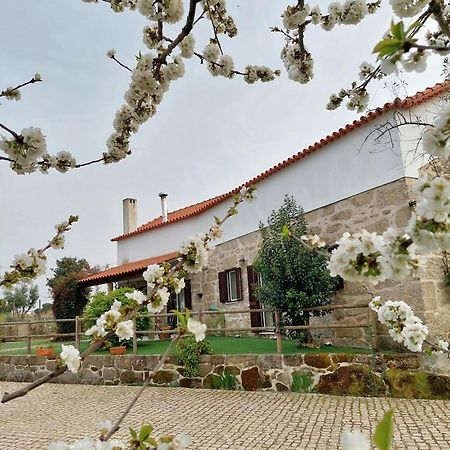 A Casa Do Soito Villa โอลีเวราดวสปิตาล ภายนอก รูปภาพ